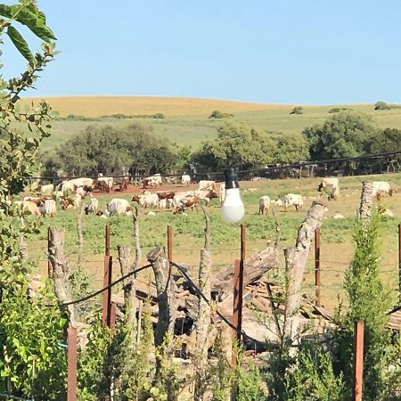 Alojamiento Rural El Soldao メディナ＝シドニア エクステリア 写真