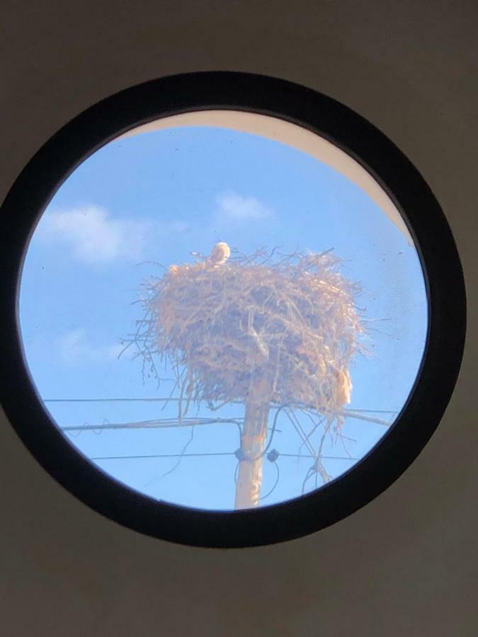 Alojamiento Rural El Soldao メディナ＝シドニア エクステリア 写真